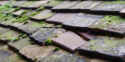 Mentmore roof repair costs
